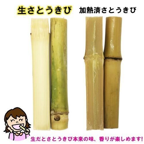 在庫処分 沖縄県産 生さとうきび サトウキビ 食用 400gパック Dprd Jatimprov Go Id