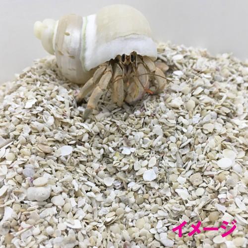 送料無料】安心安全 国内産 沖縄の砂 サンゴ砂 1kg×10パック(10kg 