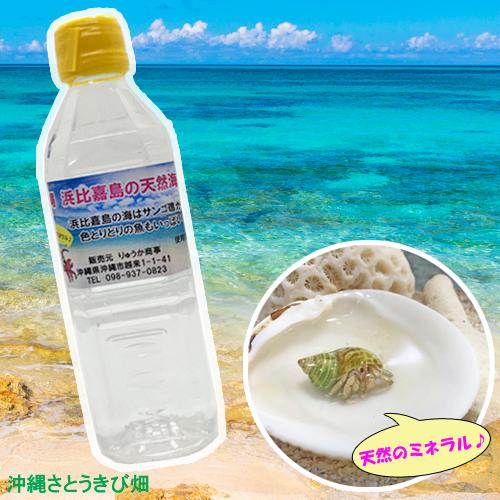 オカヤドカリ飼育セット ベビーサイズ 生体 1匹 貝殻 砂 1袋 海水 1 ヒオウギ貝 2枚 枝サンゴ5本 Oyset Bebi りゅうか商事 通販 Yahoo ショッピング