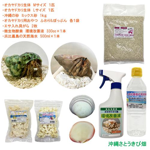 オカヤドカリ飼育セット Mサイズ Lサイズ 生体 2匹 環境改善液 1 海水 1 ふわり ぽっぷん 1 枝サンゴ 1 砂 1袋 Oyset M L りゅうか商事 通販 Yahoo ショッピング