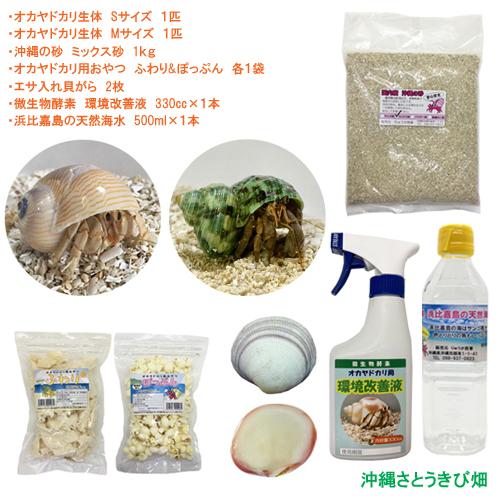 オカヤドカリ飼育セット Sサイズ Mサイズ 生体 2匹 環境改善液 1 海水 1 ふわり ぽっぷん 1 枝サンゴ 1 砂 1袋 Oyset S M りゅうか商事 通販 Yahoo ショッピング