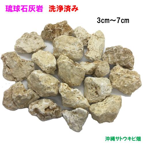琉球石灰岩 洗浄済み 小粒タイプ 3cm〜7cm 800g : りゅうか商事