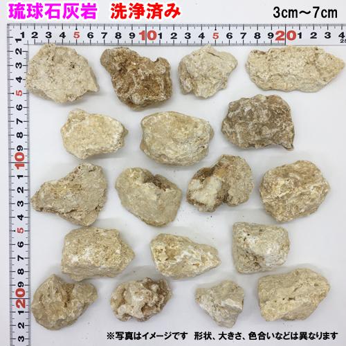 琉球石灰岩 洗浄済み 小粒タイプ 3cm〜7cm 800g : りゅうか商事