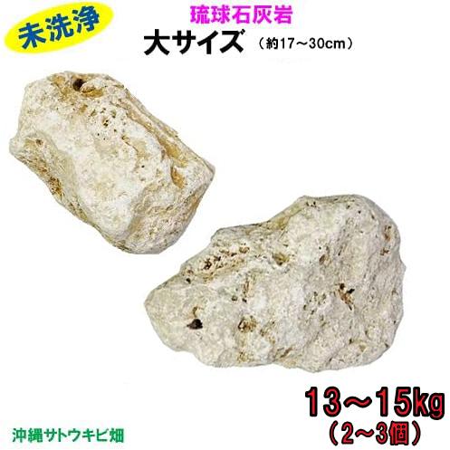 岩石堆積岩約300g