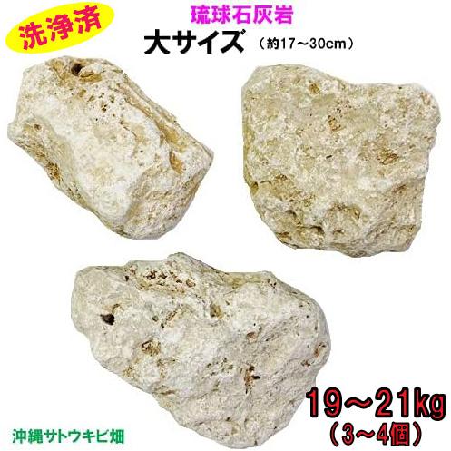 送料無料】L 琉球石灰岩 洗浄済 大サイズ 19〜21kg(3〜4個) : りゅうか