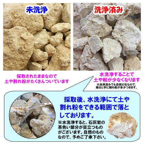 送料無料】L 琉球石灰岩 洗浄済 大サイズ 19〜21kg(3〜4個) : りゅうか