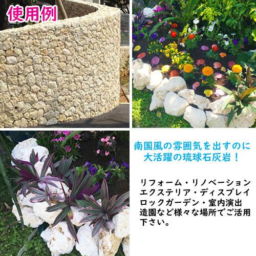 送料無料】L 琉球石灰岩 洗浄済 大サイズ 19〜21kg(3〜4個) : りゅうか