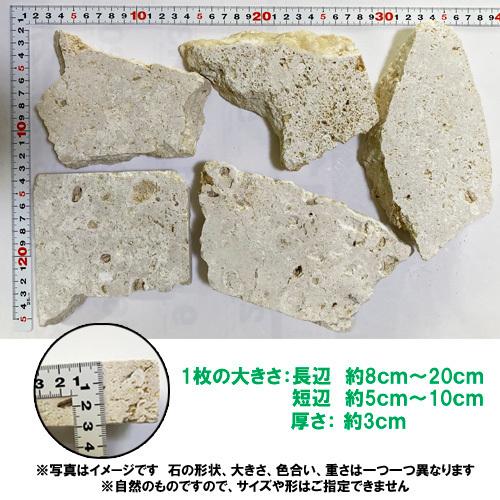 琉球石灰岩 乱形 約10㎝〜20㎝ 厚み15㎜ 20枚セット エクシスランド | 琉球石灰岩 乱形 | 建材サーチ