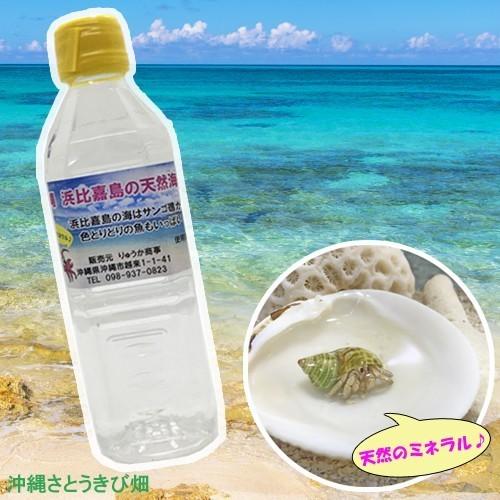 オカヤドカリ飼育セット　パウダー砂10kg・海水500ml・カレット｜ryuuka｜08