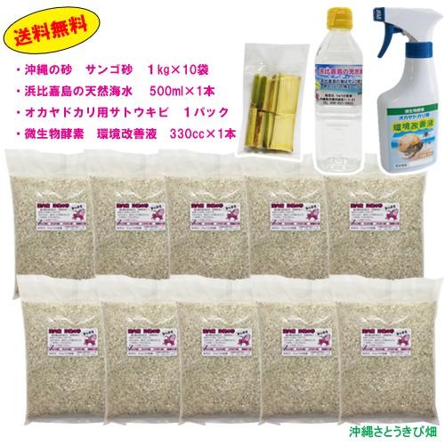 オカヤドカリ飼育セット　サンゴ砂10kg・海水500ml・サトウキビ・改善液330cc | 