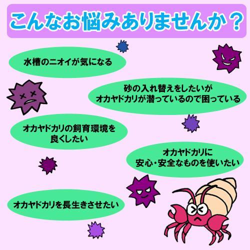 オカヤドカリ飼育セット　サンゴ砂10kg・海水500ml・サトウキビ・改善液330cc |  | 11