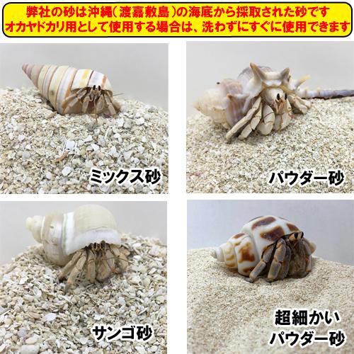 オカヤドカリ飼育セット　サンゴ砂10kg・海水500ml・サトウキビ・改善液330cc |  | 04