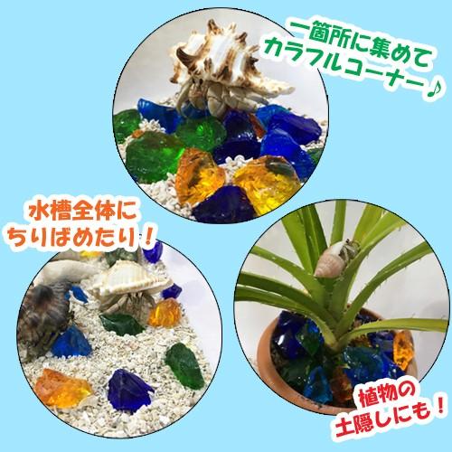 オカヤドカリ飼育セット　サンゴ砂10kg・海水500ml・カレット |  | 11