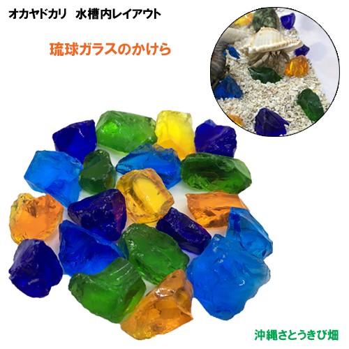 オカヤドカリ飼育セット　サンゴ砂10kg・海水500ml・カレット |  | 09