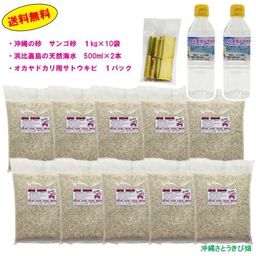 オカヤドカリ飼育セット　サンゴ砂10kg・海水500ml×2・サトウキビ｜ryuuka