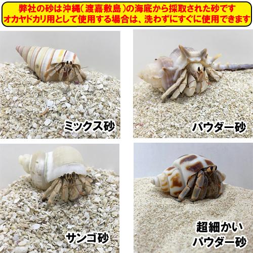 オカヤドカリ飼育セット　サンゴ砂10kg・海水500ml×2・サトウキビ｜ryuuka｜05