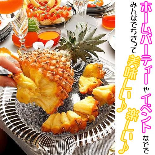 スナックパイン苗(ボゴール苗)ポット苗【パイナップル】×1鉢 | 沖縄