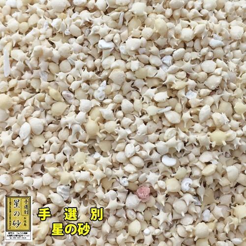 手選別》沖縄 石垣島 星の砂(星砂) 300g : りゅうか商事 - 通販