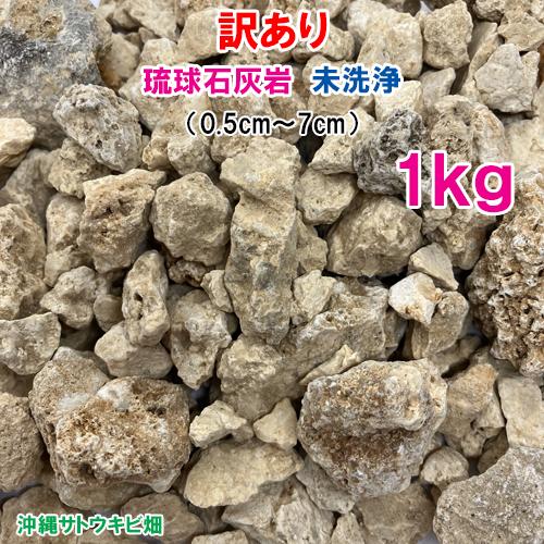 訳あり 琉球石灰岩 未洗浄 小粒タイプ 0.5cm〜7cm 1kg : りゅうか商事