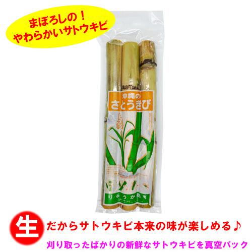 数量限定 幻のやわらかいさとうきび 沖縄県産 生さとうきび サトウキビ 食用 400gパック 1 Yawa Satoukibi りゅうか商事 通販 Yahoo ショッピング