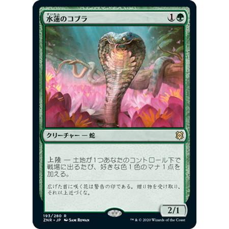 Znr 水蓮のコブラ 緑 E 竜のしっぽyahoo 店 通販 Yahoo ショッピング