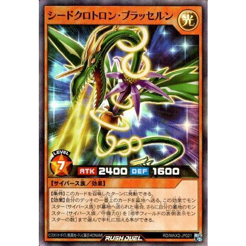 シードクロトロン ブラッセルン Sr Rd Max2 Jp021 光 竜のしっぽyahoo 店 通販 Yahoo ショッピング