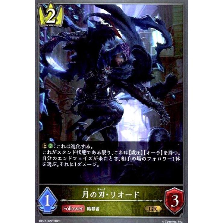 シャドウバースエボルヴ　ロイヤル　宴楽　まとめ売り Shadowverse EVOLVE Championship」（2025年2月3週）上位入賞者