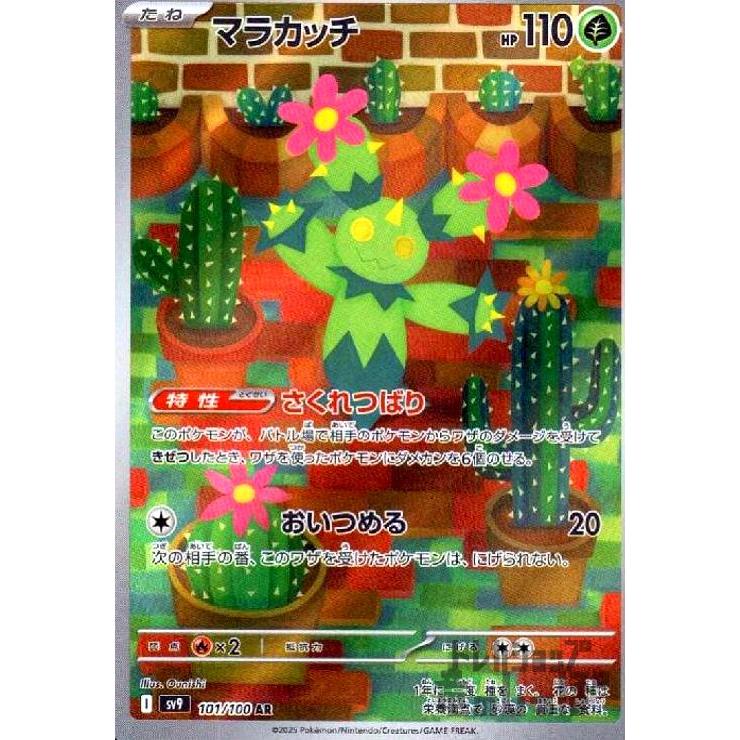 マラカッチ(101/100 AR) ポケモンカード : トレカショップ竜のしっぽ