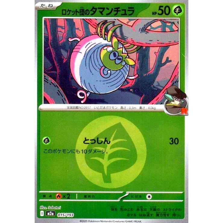 早い者勝ちロケット団のタマンチュラ他　ロケット団ミラーデッキパーツ　29枚セット ロケット団のタマンチュラ(ミラー)(015/193)【エネルギーマーク柄