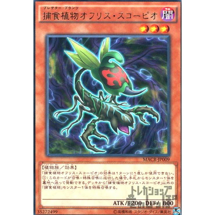 捕食植物オフリススコーピオ(高価N)/闇ハ06-8 遊戯王 : トレカショップ