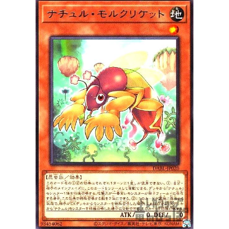 ナチュル・モルクリケット(高価)/新63-4地 遊戯王 : トレカショップ竜
