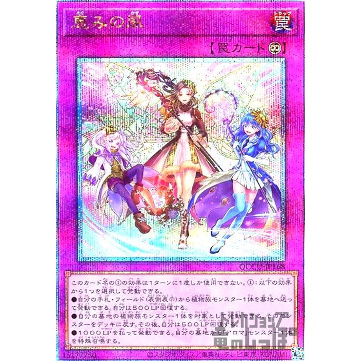 【 鑑定品 PSA10 】　極美品　自引き　世界に2枚　恵みの風　25th 鑑定品 PSA10 】 極美品 最安値 究極竜魔導師 25th クオシク