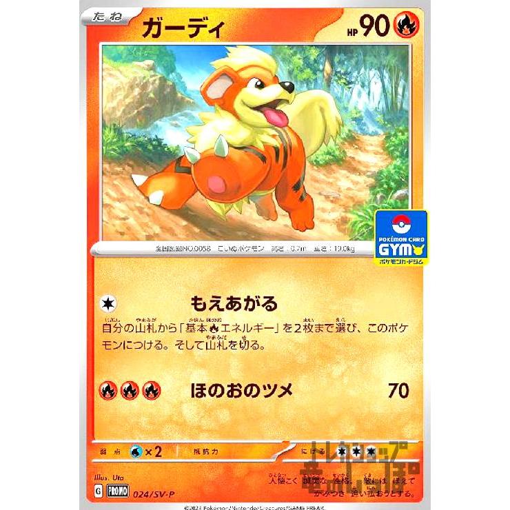 ガーディ(024・SV-P)/炎 ポケモンカード : トレカショップ竜のしっぽ