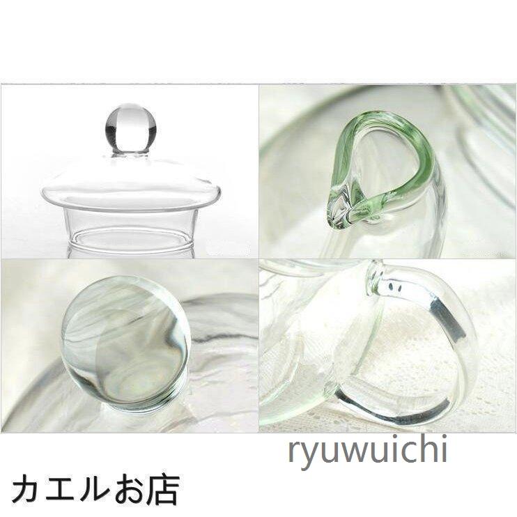 茶器 セット ガラスポット ティーポット ティーカップ 耐熱透明 急須水