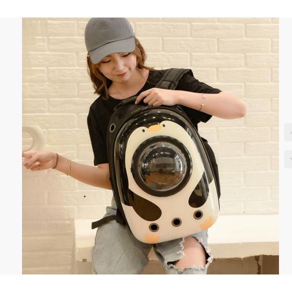 外に出て携帯する宇宙ペットのリュ