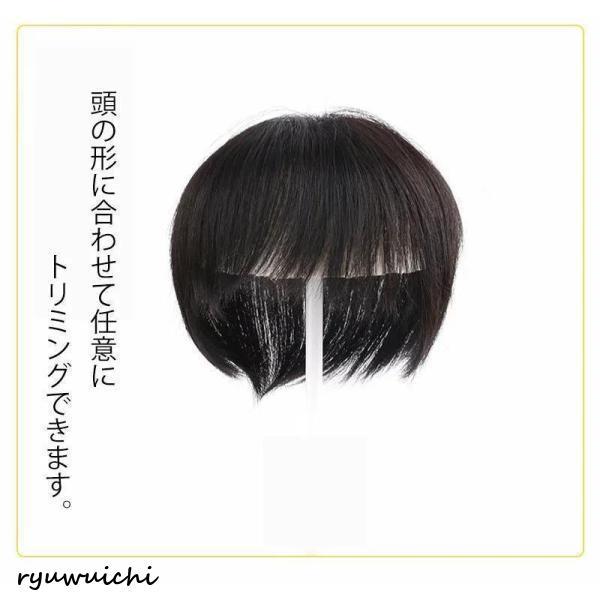前髪ウィッグ 自然 部分ウィッグ 約25CMかつら 人毛100% レディース