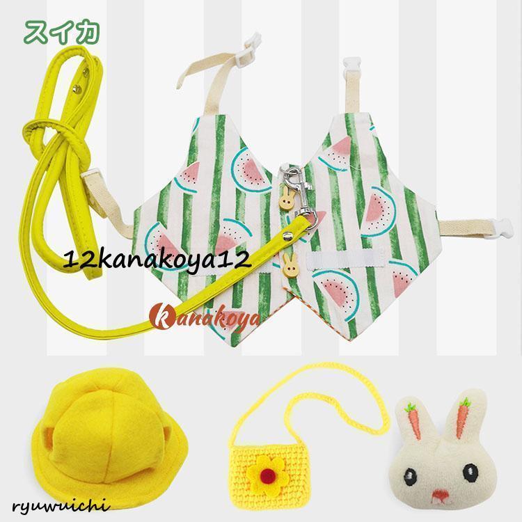ウサギ服 リードセット 可愛い 小動物 ウサギ ホーランドロップ