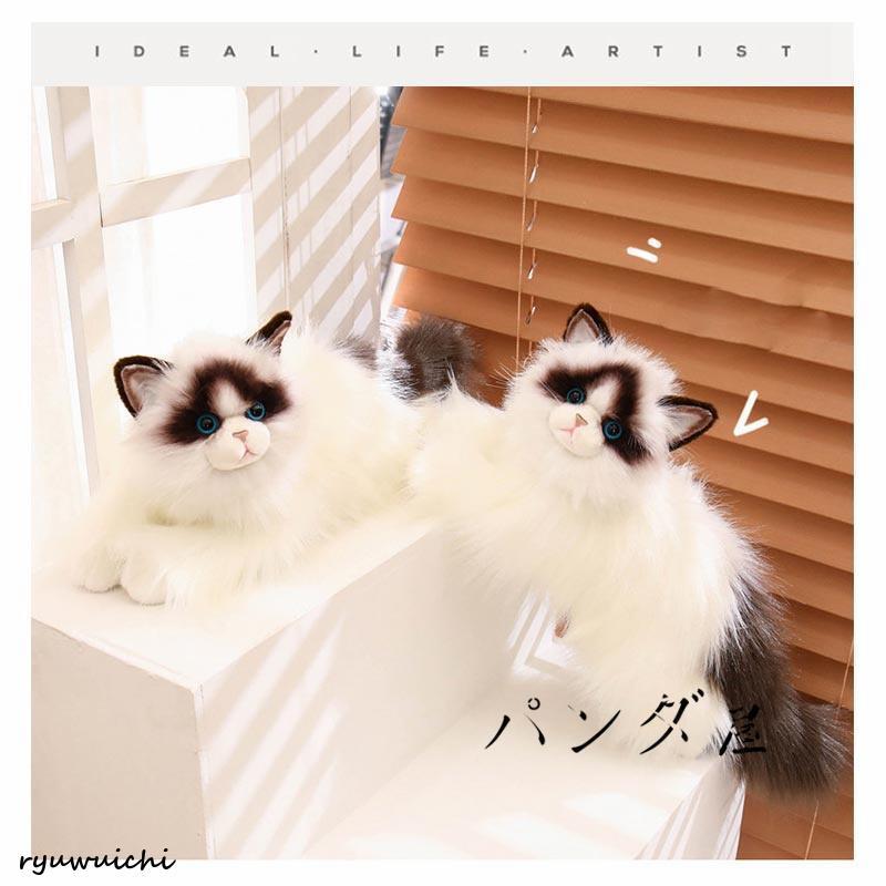 猫 ネコ ぬいぐるみ 置物 新品未使用 実物約50cm たっちぃZoo 自立する ほぼ原寸大ねこちゃん人形/猫 ネコ ぬいぐるみ
