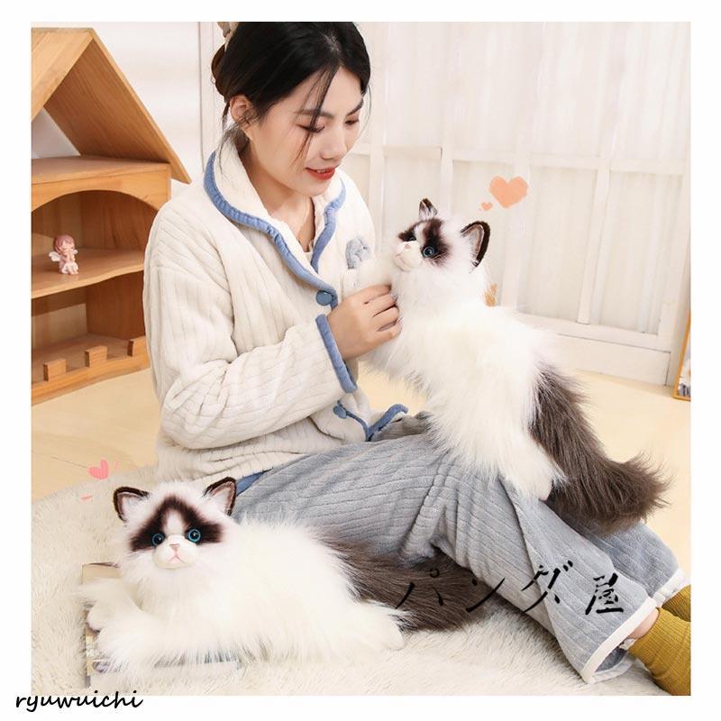 リアル 猫のぬいぐるみ ラグドール 50cm かわいい 本物みたいな癒し系