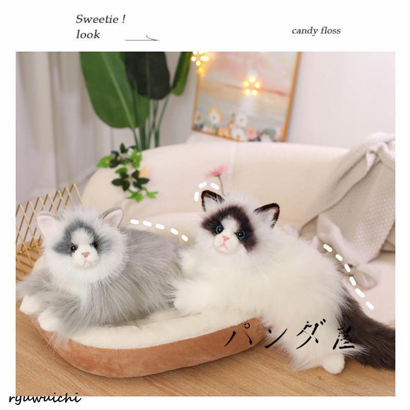 リアル 猫のぬいぐるみ ラグドール 50cm かわいい 本物みたいな癒し系