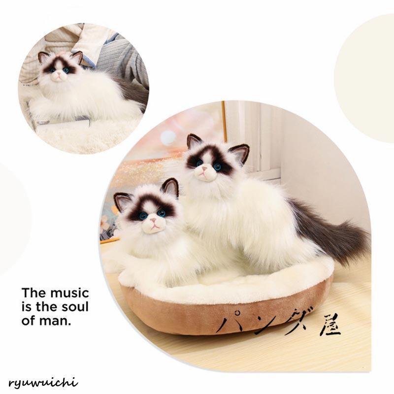 リアル 猫のぬいぐるみ ラグドール 50cm かわいい 本物みたいな癒し系