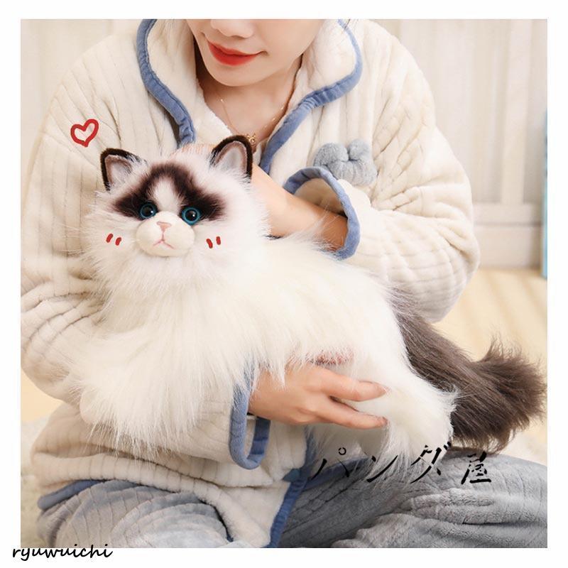 リアル 猫のぬいぐるみ ラグドール 50cm かわいい 本物みたいな癒し系