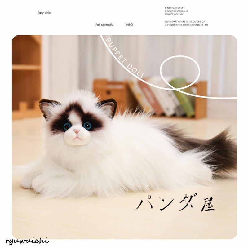 リアル 猫のぬいぐるみ ラグドール 50cm かわいい 本物みたいな癒し系