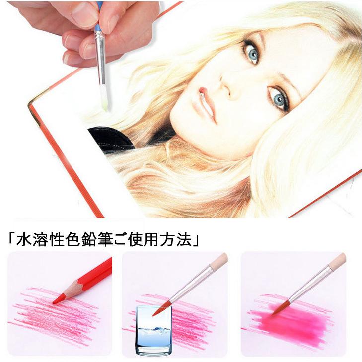 送料無料 水彩色鉛筆 水溶性 水性 最大95 オフ 48色セット 48本入り ペイントブラシ 鉛筆ホルダー 鉛筆削り 消しゴム付属 イラスト 塗り絵 学校教材用 スケッチ デザイン