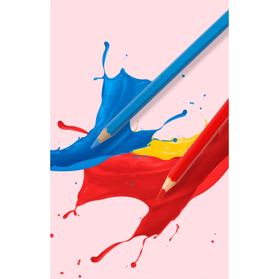 送料無料 水彩色鉛筆 水溶性 水性 最大95 オフ 48色セット 48本入り ペイントブラシ 鉛筆ホルダー 鉛筆削り 消しゴム付属 イラスト 塗り絵 学校教材用 スケッチ デザイン