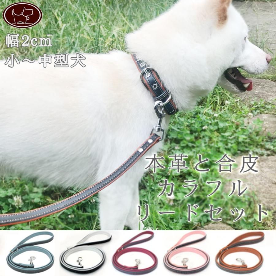 幅2cm 本革合皮 首輪リードセット M レザー 牛革 おしゃれ シンプル カラフル 小型犬 中型犬 ドッグ ペット ブラウン ホワイト ブルー レッド ピンク Leather2b Ryvy 通販 Yahoo ショッピング