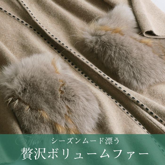 P. willinckii 'Jenny' TC 2819 P. willinckii 'Jenny' TC 2128 P