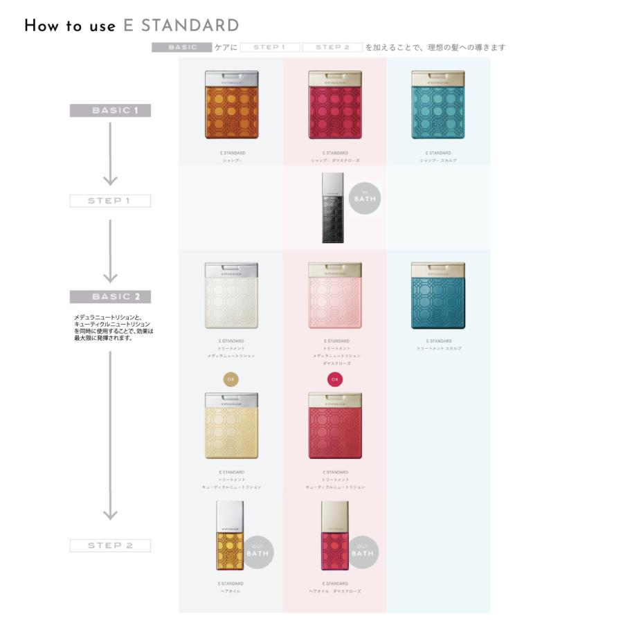 E STANDARD / イイスタンダード ヘアセラム 1000mL (詰替)