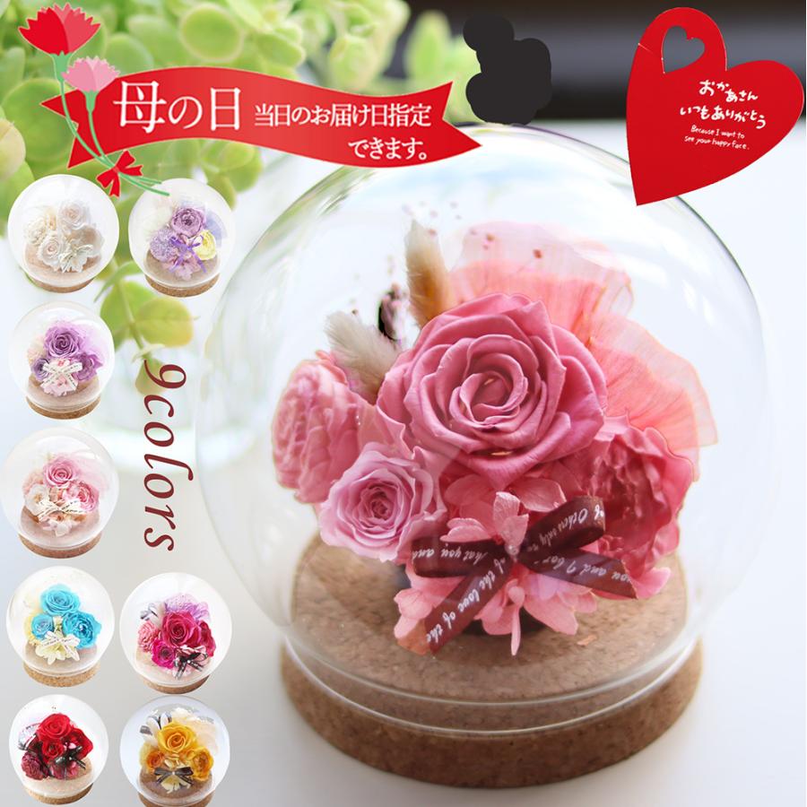 プリザーブドフラワー 母の日 プレゼント 花 ギフト 2026 20周年記念プリザ ガラスドーム お祝い 誕生日 バラ 送別 女性 結婚祝い 還暦祝い お礼 シェリー（Yahoo!・プリザフラワーのサウンドアレンジ）