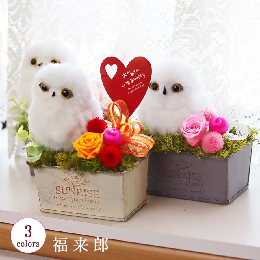母の日 21 花 プレゼント 母の日ギフト プリザーブドフラワー ギフト ブリザード 退職祝い 送別 和風 フクロウ ふくろう 誕生日 還暦祝い 福来郎 Fukurou プリザフラワーのサウンドアレンジ 通販 Yahoo ショッピング